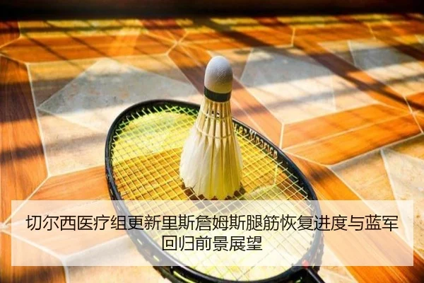 切尔西医疗组更新里斯詹姆斯腿筋恢复进度与蓝军回归前景展望（kaiyun）